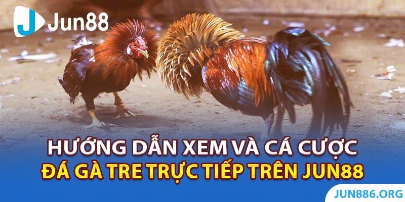 Khám phá sự phát triển vượt trội của online casino gaming software và tầm ảnh hưởng của online casino gaming software trong ngành cá cược hiện đại